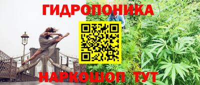 хмурый Гатчина