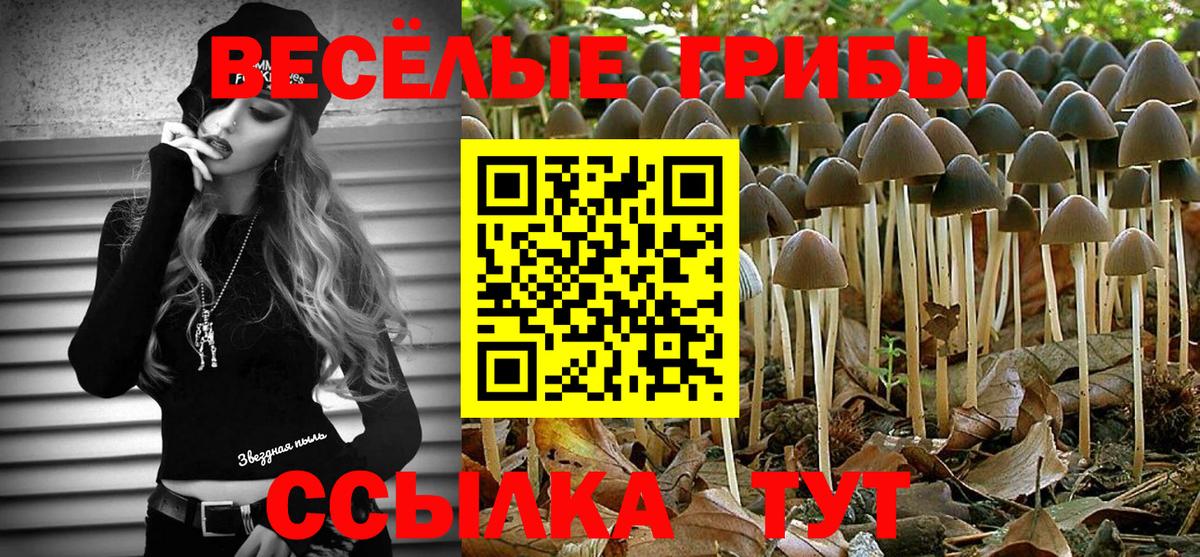 Галлюциногенные грибы ЛСД  Зерноград  Галлюциногенные грибы Cubensis 