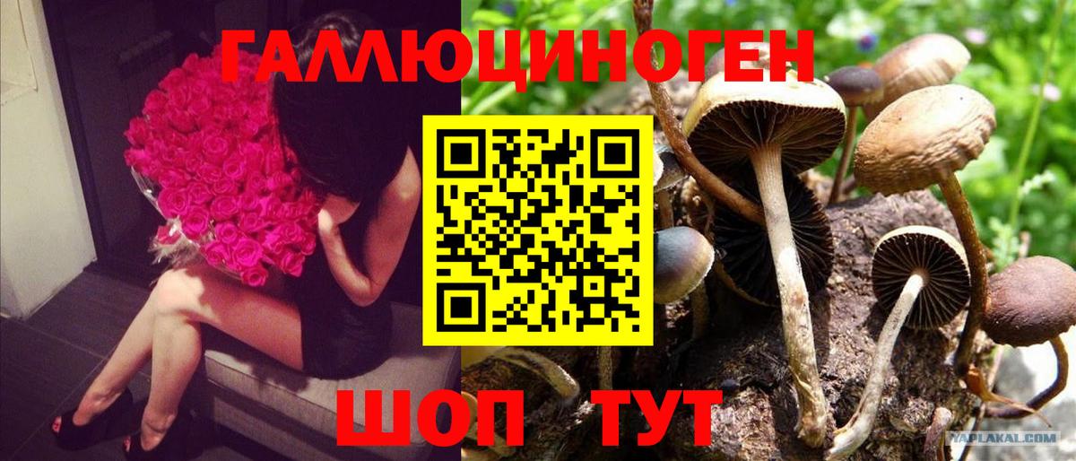 Галлюциногенные грибы мухоморы Зерноград