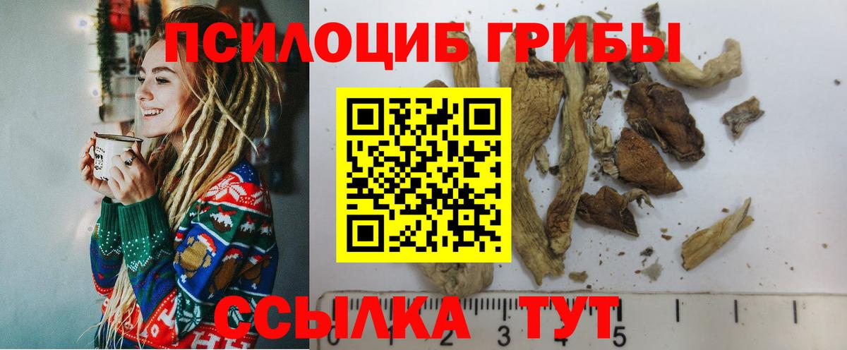 Зерноград  Псилоцибиновые грибы MAGIC MUSHROOMS  Вход с VPN 